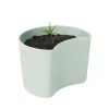 Pot avec graines YOUR TREE, Vert (Pin)