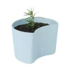Pot avec graines YOUR TREE, Bleu (Pin)