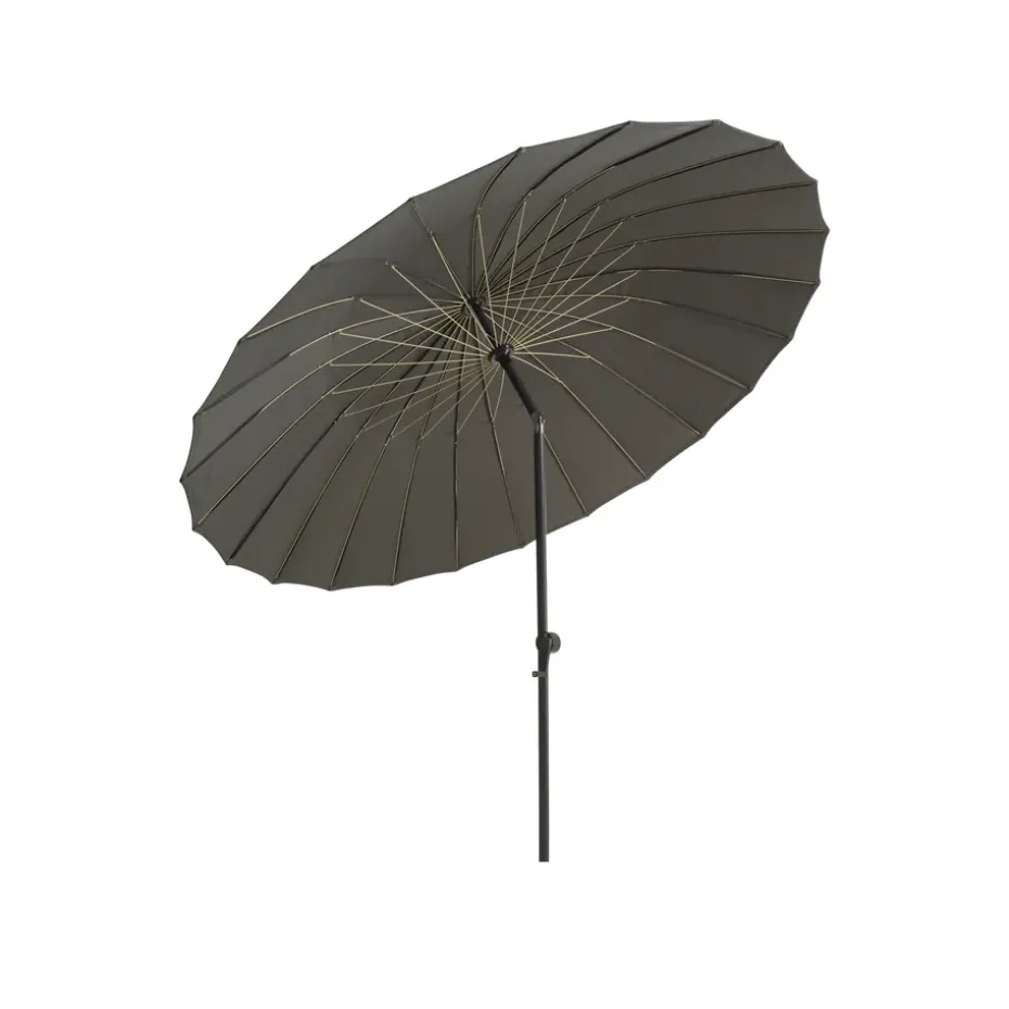 Shanghai parasol, Grey-lemon