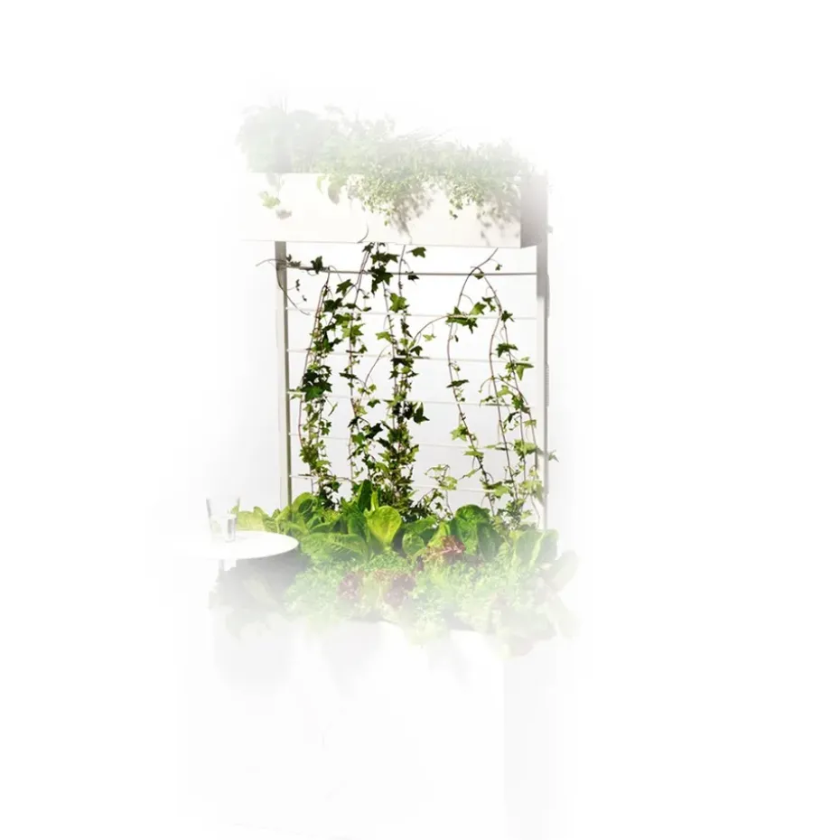 Treillage Urban, Blanc